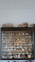 Glazen Vitrinekast / Prijzenkast met Verlichting, Ophalen, Met deur(en), Zo goed als nieuw, Glas