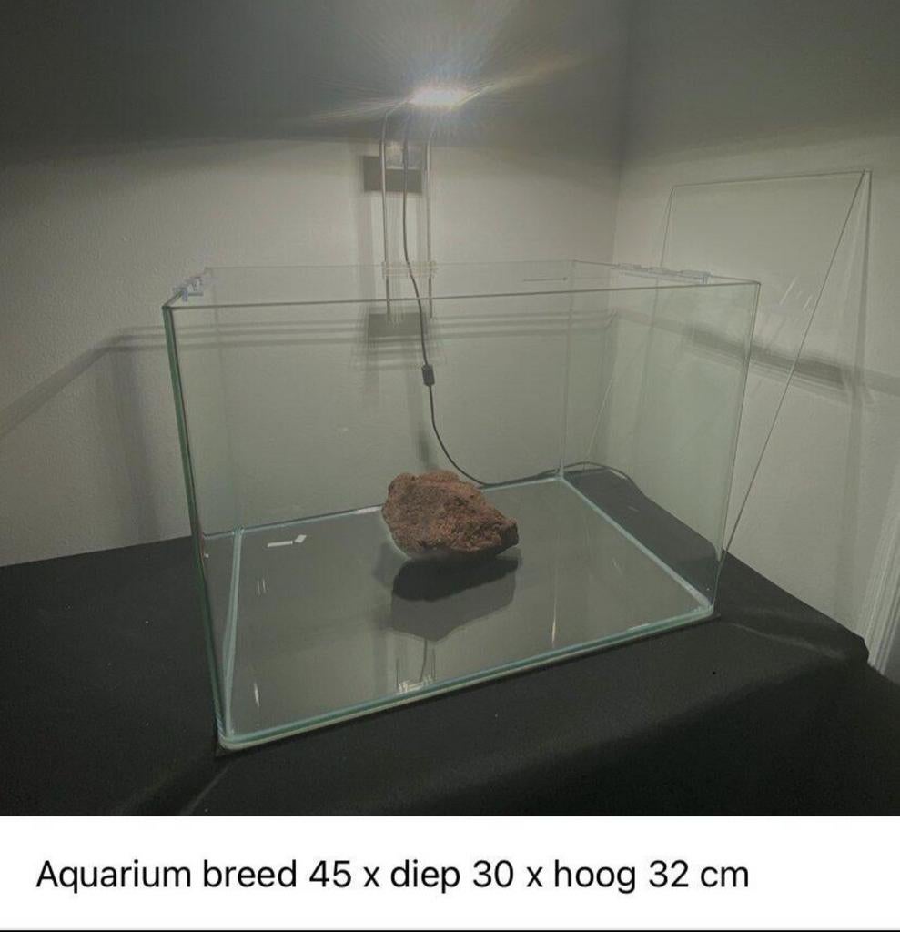 Aquarium, Dieren en Toebehoren, Vissen | Aquaria en Toebehoren, Ophalen