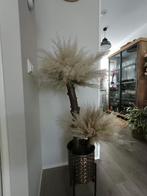 Kunstplant met pluimen in pot - 100cm, Huis en Inrichting, Woonaccessoires | Kunstplanten en Kunstbloemen, Ophalen of Verzenden
