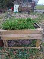 Houten plantenbak met kamille, Tuin en Terras, Ophalen, Gebruikt, Hout