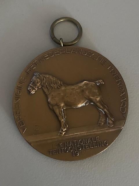 trekpaard medaille, Ophalen of Verzenden, Gebruikt