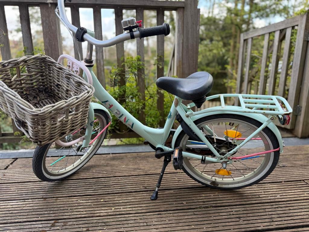 Alpina kinderfiets 18 inch met mandje en bagagedrager, Ophalen, Gebruikt, 20 inch, Handrem