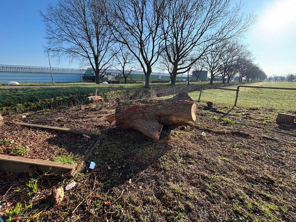 Boomstronken gratis op te halen, Tuin en Terras, Minder dan 3 m³, Ophalen