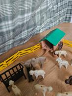 Vintage playmobiel 1979, Ophalen, Gebruikt
