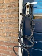 Hoofdstel maat pony, Dieren en Toebehoren, Paarden en Pony's | Hoofdstellen en Tuigage, Ophalen of Verzenden, Gebruikt, Overige soorten