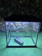 Superfish start 30 aquarium, Dieren en Toebehoren, Ophalen, Zo goed als nieuw, Leeg aquarium