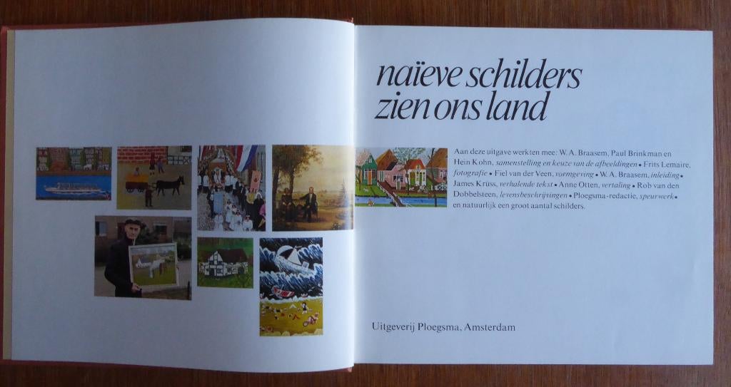 Naïeve schilders zien ons land, Ophalen of Verzenden, Gelezen, Schilder- en Tekenkunst