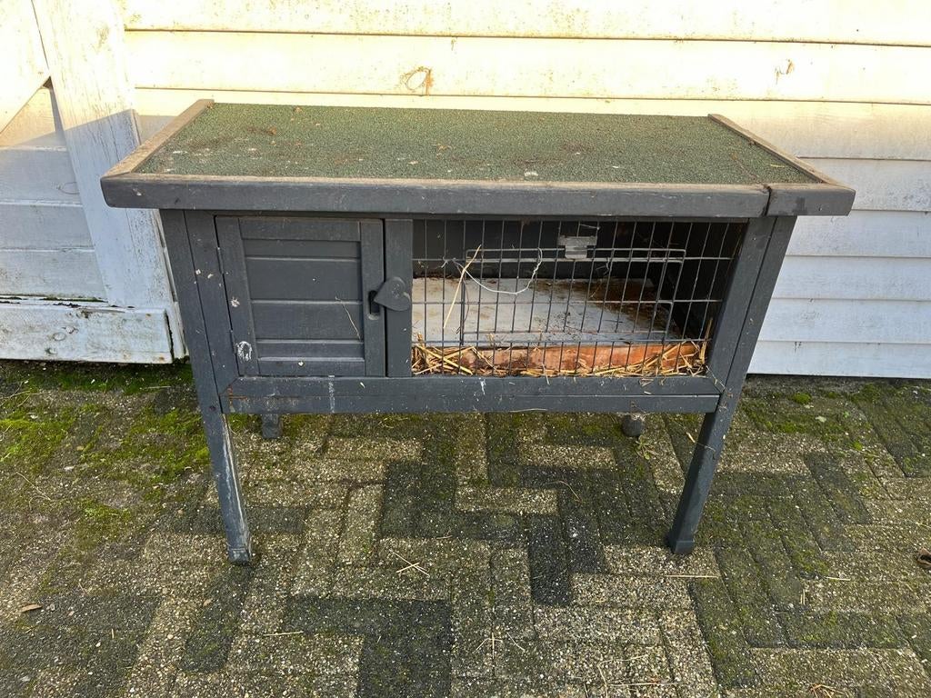 Konijnenhok, Ophalen, Gebruikt, 60 tot 90 cm, Konijn