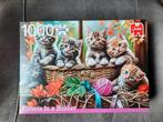 Jumbo Legpuzzel: Kittens in een Mand (1000 stukjes), Ophalen of Verzenden, 500 t/m 1500 stukjes, Gebruikt, Legpuzzel