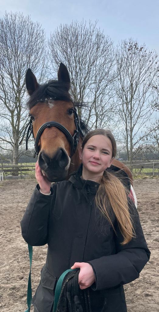 Verzorg pony gezocht omgeving Alkmaar, Ophalen
