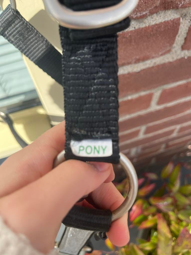 Bond haslter, Ophalen of Verzenden, Overige soorten