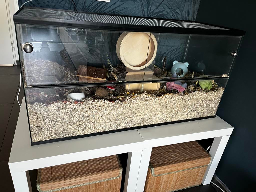 Terrarium, Gebruikt, Muis, Hok, 75 tot 110 cm
