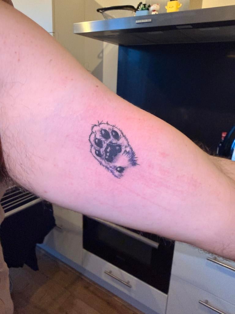 Budget-Friendly Tattoos – Portfolio Building Specials, Hobby en Vrije tijd, Tekenen, Ophalen of Verzenden, Zo goed als nieuw