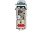 Malibu Van Two Rooms 640 LERB Lengtebedden, automaat, Automaat, Malibu, Fiat, Tot en met 2