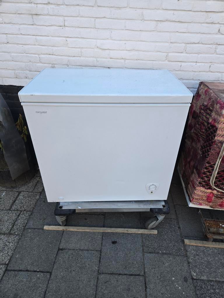 Diepvrieskist 90 cm breed, Ophalen of Verzenden