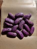 Pronkboon 'Red Scarlett' zaden - Prachtige rode bloemen, Tuin en Terras, Ophalen of Verzenden, Volle zon