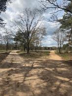 zonnig vakantiehuisje op de Veluwe te koop, Huizen en Kamers, Recreatiewoningen te koop, 40 m², Gelderland, 2 slaapkamers, Verkoop zonder makelaar