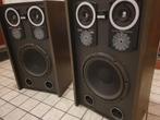 Vintage Bose syncom Speakers, Audio, Tv en Foto, Ophalen, Gebruikt, 60 tot 120 watt, Bose