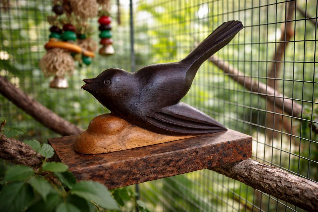 presse papier, Ophalen of Verzenden