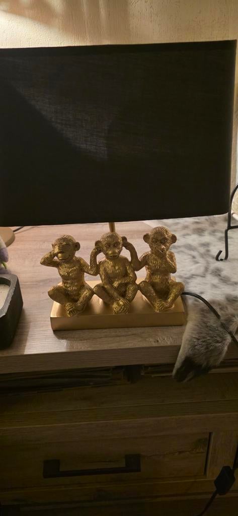 Lampjes, Ophalen, Minder dan 50 cm