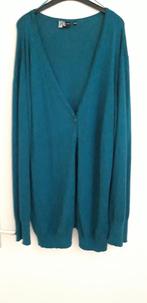 lang groen vest in maat 50/52 met knoopsluiting, Ophalen of Verzenden, Gedragen, Groen, Trui of Vest