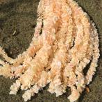 10x Champagne Orchidee Kunst Slinger / Kunstplant Nep Plant, Verzenden, Nieuw