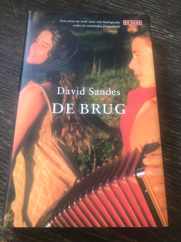 De Brug - David Sandes, Boeken, Ophalen of Verzenden, Gelezen, Nederland