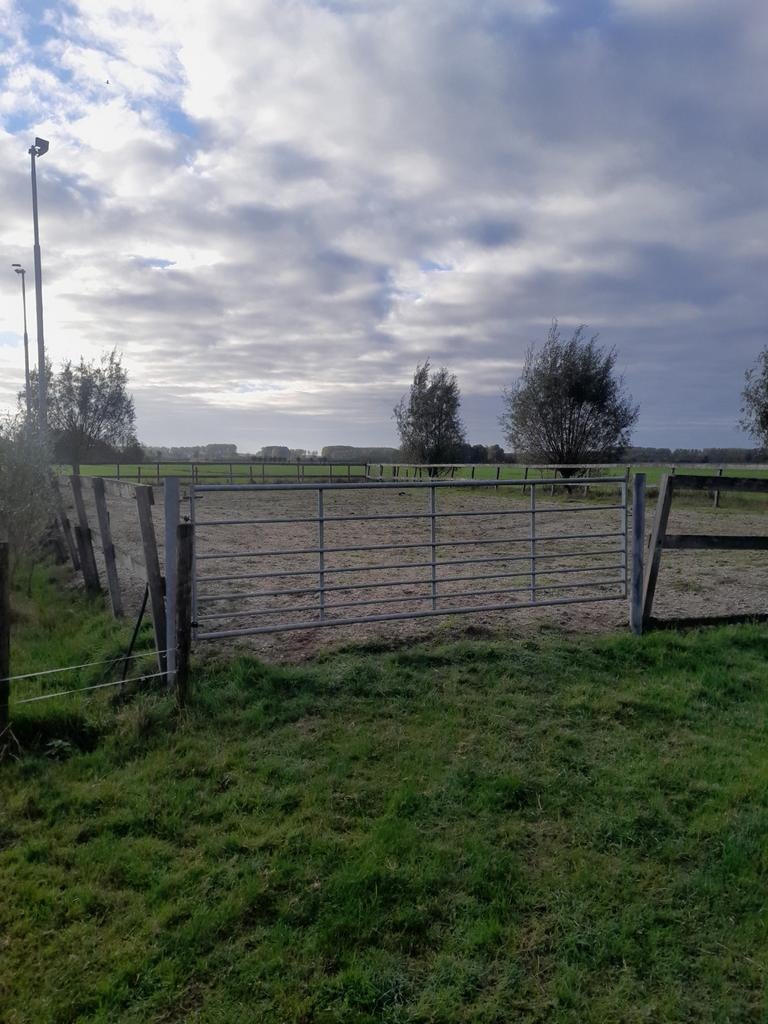 Paardenbak 20x40m paddock hardhouten planken palen, Ophalen, Gebruikt, Hout, Met poort