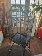 Vogelkooi Montana ook geschikt voor kleine papegaaien, Dieren en Toebehoren, Vogels | Hokken en Kooien, Ophalen, Gebruikt, Metaal