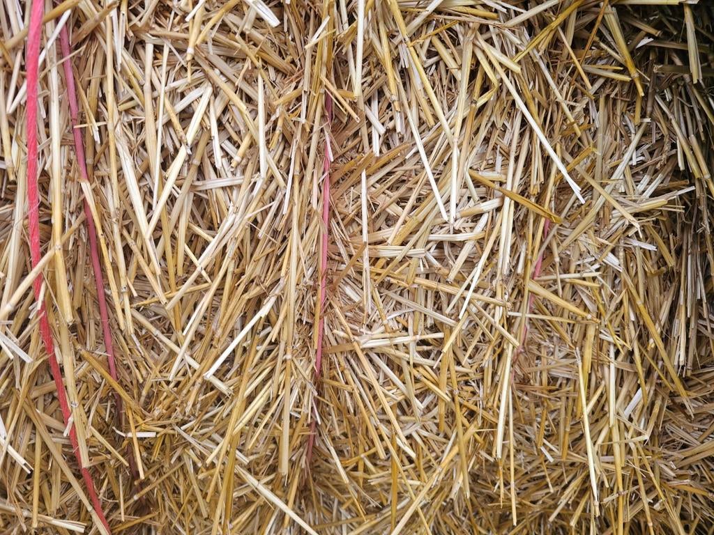 Stro pakken 240x90x120, Dieren en Toebehoren, Ophalen