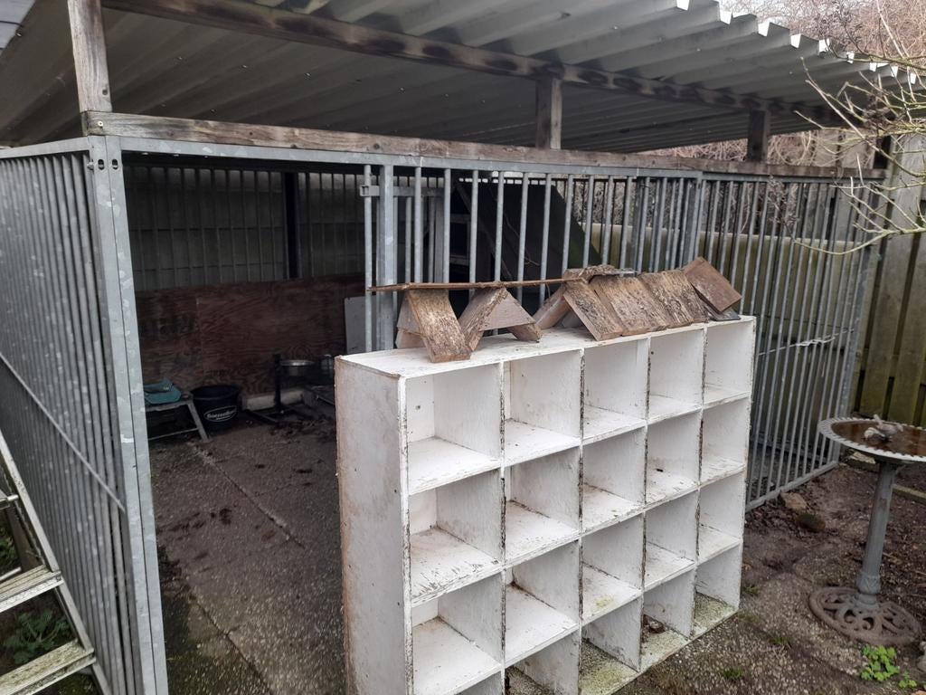 Hondenren, Ophalen, 110 cm of meer, 100 cm of meer