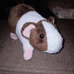 Althans donkerbruine witte cavia., Ophalen of Verzenden, Zo goed als nieuw, Overige typen