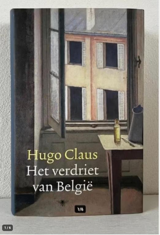 Het verdriet van België - Hugo Claus, Boeken, Ophalen of Verzenden, Zo goed als nieuw, Wereld overig