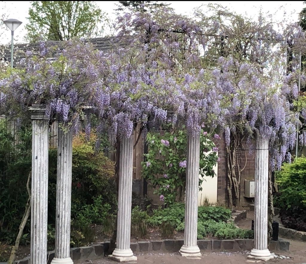 Romeinse pilaren, Tuin en Terras, Tuinbeelden, Ophalen, Gebruikt, Beton, Overige typen