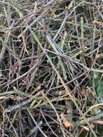 Gratis haardhout/ aanmaakhout graag zsm ophalen, Tuin en Terras, Minder dan 3 m³, Ophalen