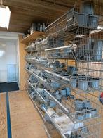 Wavin pvc divers assortiment 110 en 125mm meer dan 250 stuks, Doe-het-zelf en Verbouw, Buizen en Afvoer, Ophalen, Bochten, Pvc