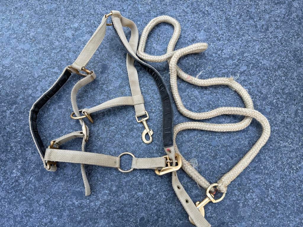 Halster met touw, Dieren en Toebehoren, Paarden en Pony's | Overige Paardenspullen, Ophalen of Verzenden, Overige soorten