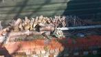 Stammen en takken voor kachel of barbecue, Tuin en Terras, Haardhout, Minder dan 3 m³, Ophalen, Overige houtsoorten, Stammen