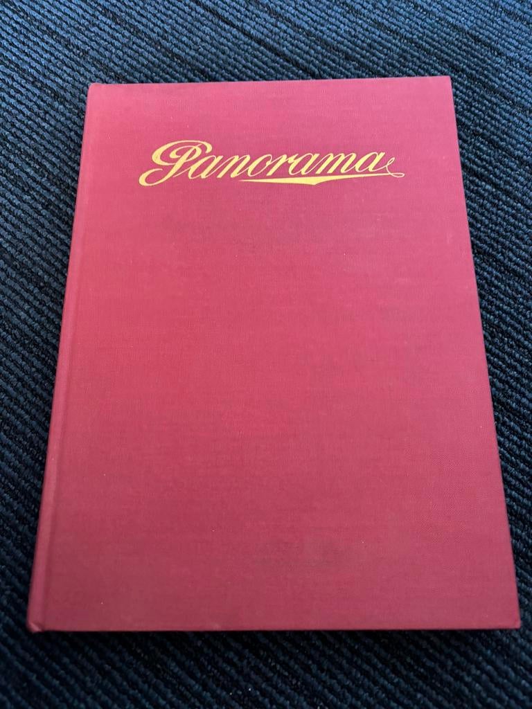 Boek: Panorama, Boeken, Ophalen of Verzenden, Zo goed als nieuw, Nederland