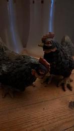 Kippen deco, Ophalen of Verzenden, Zo goed als nieuw