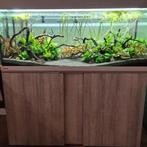Eheim Vivaline 240L led+ + kast + filter + verwarming, Ophalen, Zo goed als nieuw, Gevuld zoetwateraquarium