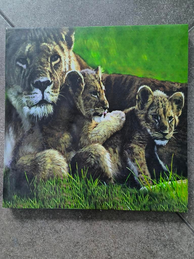 Canvas schilderij leeuwenfamilie 40 x 40 cm, Huis en Inrichting, Woonaccessoires | Schilderijen, Tekeningen en Foto's, Ophalen of Verzenden