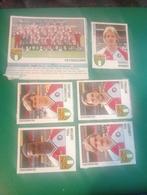 14 panini Feyenoord 89 knip, Verzenden, Gebruikt, Feyenoord, Poster, Plaatje of Sticker