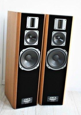 Gezocht: Quadral Amun MKV, Overige merken, Gebruikt, Ophalen of Verzenden, 120 watt of meer