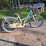 Alpina clubb meisjesfiets transportfiets 20 inch, Fietsen en Brommers, Ophalen, Gebruikt, Alpina, Handrem