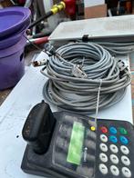 Unikon champ, Dieren en Toebehoren, Mannelijk, Postduif