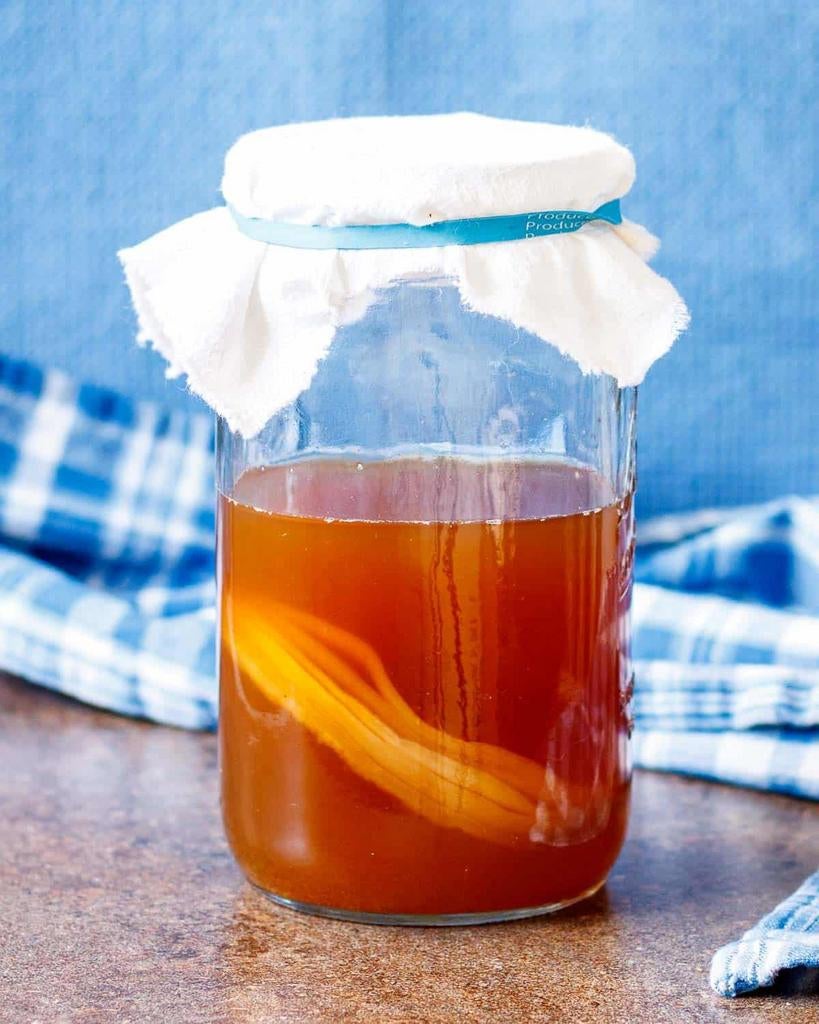 Kombucha scoby, Diversen, Ophalen of Verzenden