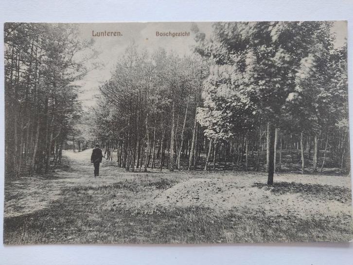 U795 Lunteren, Verzamelen, Ansichtkaarten | Nederland, Gelderland, 1920 tot 1940, Ophalen of Verzenden
