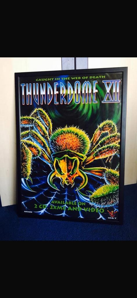 Thunderdome 12 poster, Ophalen of Verzenden, Zo goed als nieuw
