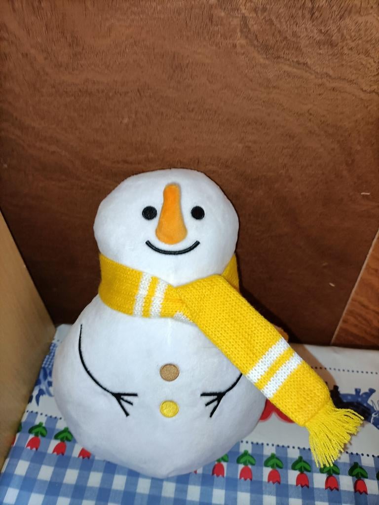 Jumbo supermarkt Wons knuffel sneeuwpop 26 cm, Kinderen en Baby's, Ophalen of Verzenden, Zo goed als nieuw, Overige typen